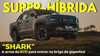 A BYD aposta na Shark para entrar no competitivo mercado de picapes dominado por gigantes do setor [upl. by Yruok]