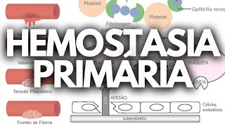 HEMOSTASIA PRIMÁRIA HEMATOLOGIA [upl. by Arber168]