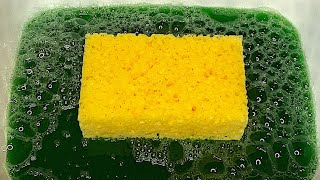 ASMR  THICK DISH SOAP • POROUS SPONGE SQUEEZING • RINSING 🟩🟨 [upl. by Anirazc]