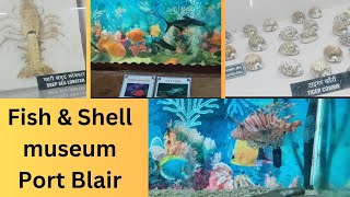 Andaman tour vlogFish amp Shell museum in Port Blairsunidhikitchenandvlog [upl. by Elocin]