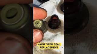 N42B20 valve stem seal replacement shorts [upl. by Ammej]