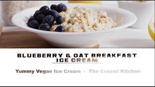 Vegan Blueberry Oat Breakfast Ice Cream in Ninja Creami [upl. by Ynohtnanhoj]