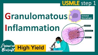 Granulomatous inflammation  What causes granulomatous inflammation  Pathology for USMLE step 1 [upl. by Ardisi]