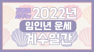 2022년 임인년  계수일간 운세 [upl. by Euqinemod]