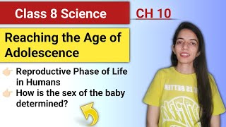 Reaching the Age of Adolescence Part2 Class 8 Science Chapter 10 shavetakaadda [upl. by Moth]