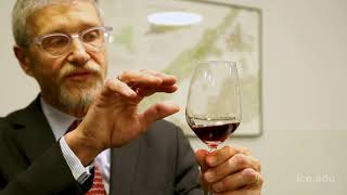 Intensive Sommelier Training Exclusively Available at ICE [upl. by Goggin]