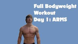 Full Bodyweight Workout Day 1 ARMS [upl. by Pazia]