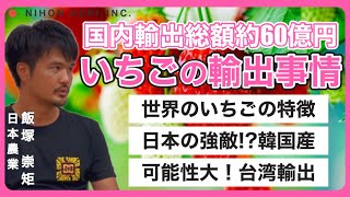 【いちごの輸出】拡大するいちごの輸出！日本はどう戦う？海外のいちごの特徴から輸出事情を語る！ [upl. by Amann917]