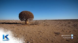 PRONTUIT  Droogte in die Boesmanland  Seg 3 [upl. by Ahsinrad68]