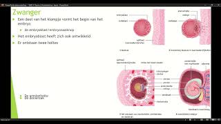 Klas 4 VWO Thema 2 Voortplanting amp seksualiteit basisstof 4 Zwanger deel 1 [upl. by Hike948]