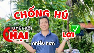 CHỐNG HÚ tuyệt đối HẠI nhiều hơn LỢI 4 nguyên nhân khiến âm thanh hú Cách chống hú hiệu quả loa [upl. by Alaj]