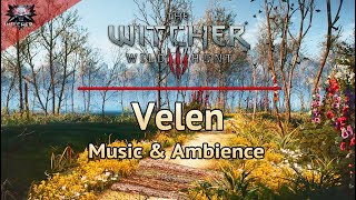 The Witcher 3  Emotional and Relaxing Soundtrack  Velen  Music amp Ambience for StudyFocusSleep [upl. by Oca968]