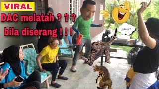 DAC melatah bila diserang  Geng Latah  behind the scene melatah fyi opocotmelatah lawak [upl. by Mathian438]