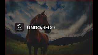 Undo Redo tool  Plotagraph Pro Software Tutorial [upl. by Krys586]