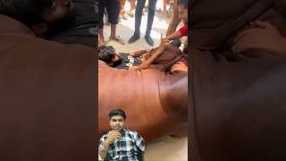 Kya Kar Raha hai bhai 😳😢 islamabad quran mutton bakra eidaladha shorts emotional [upl. by Agiaf53]