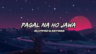 Pagal Lofi  Slowed  Reverb   Jis Din Tu Meri Howegi  Mai Pagal Na Ho Jawa  Asveer Lofi Vibes [upl. by Hadihsar568]