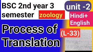 Bsc 2nd year 3semster zoology topic Process of translation [upl. by Yancy]