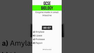 Enzymes and the small intestine GCSE Biology [upl. by Erihppas]