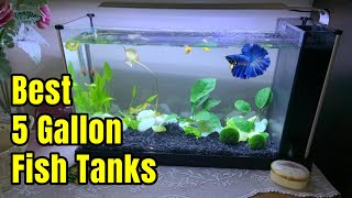 Best 5 Gallon Fish Tanks  Setup ideas amp Review [upl. by Ahseret384]