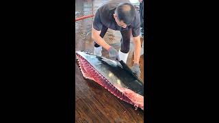 Amazing Bluefin Tuna Cutting [upl. by Niarb471]