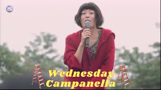 Wednesday Campanella  Momotaro Live FIRST TIME REACTION [upl. by Bayly896]