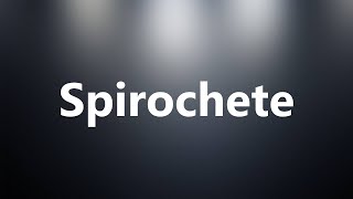 Spirochete  Medical Definition and Pronunciation [upl. by Nyved364]