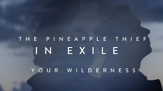 The Pineapple Thief  In Exile from Your Wilderness [upl. by Ayk]