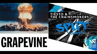 Grapevine vs Split Tomorrowland 2019 Tiësto Mashup [upl. by Nahgeam]