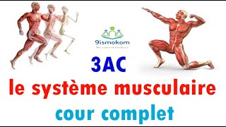 le système musculaire 3ème année collège complet [upl. by Mukerji]