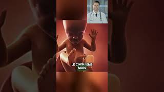 L’évolution en 9 mois du bébé pendant la grossesse 👶 bebe foetus grossesse enceinte futureme [upl. by Aenej665]