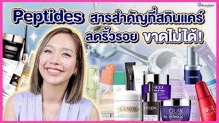 Gurucheck Academy Cosmetic EP2 ส่วนผสมกลุ่มเปปไทด์ที่มีใช้ในสกินแคร์ลดริ้วรอย ยกกระชับผิว [upl. by Fang302]