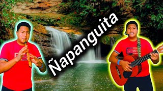 ÑAPANGUITA  Trío fronterizo cover Jhon Mavisoy sanjuanitos requinto requintista kena [upl. by Jairia188]