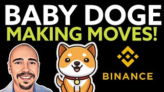 BABY DOGE COIN LATEST NEWS AND INFORMATION [upl. by Kcirneh]