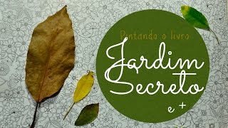 Colorindo folhas com lápis de cor  Dicas e Sugestões  Jardim Secreto  Secret Garden [upl. by Schiro]