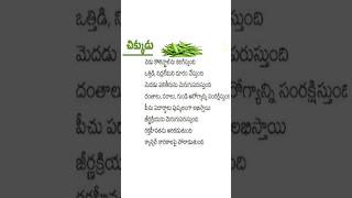 చిక్కుడు కాయలు ఆరోగ్య ప్రయోజనాలు  Broad Beans Health Benefits in Telugu [upl. by Ahset]