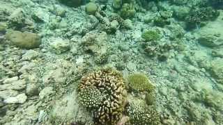 MALDIVES 2014  FILITHEYO  GoPro [upl. by Solotsopa]