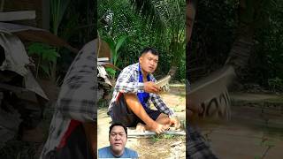 Thầy bói coi quá đúng luôn kaka videogiaitri nguyenhuyvlog vochongson comedy haihuoc [upl. by Ettesel580]