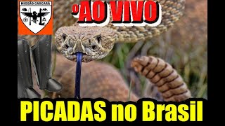 A perneira suporta picada de cobra E as luvas e botas do Brasil Tudo sobre picada de serpente [upl. by Baillie]