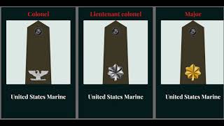 us military rank insignia [upl. by Aniretake294]