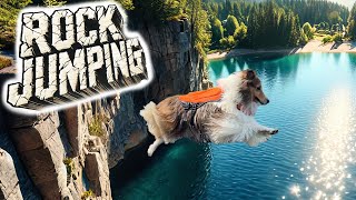 Sheltie Camping Expert Shares TOP Rock Jumping Techniques 🐶⛺️😆 e366 [upl. by Vonny]