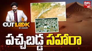 Sahara Desert Turns Green  పచ్చబడ్డ సహారా  Outlook By Chakri  BIGTV [upl. by Jer993]