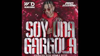 Soy Una Gargola  Rauw Alejandro Arcangel amp Randy  DJ Wilmer Duran Break [upl. by Ahk809]