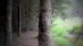 Correspondances A Forest Charles Baudelaire ft The Cure [upl. by Bryner]