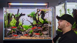 Aquascaping Tutorial Nano Garnelen Aquarium einrichten [upl. by Annaig]