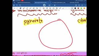 Biochemistry Lipid Metabolism second yearpart 10 [upl. by Onitnatsnoc727]