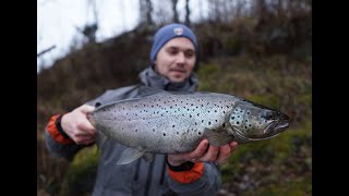 Ørretfiske fra land  Mjøsa [upl. by Daly]