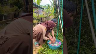 bocil mandi permen diy kreatif viral art craft [upl. by Marquita]