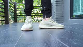 Yeezy Boost 350 V2 Antlia on Feet [upl. by Melania]