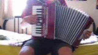 Zelda theme on accordion [upl. by Radley]