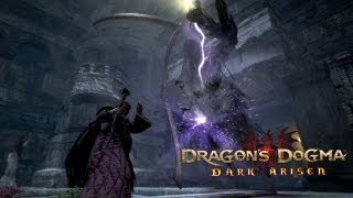 Dragons Dogma Dark Arisen  Enemy Showcase [upl. by Teerpnam]